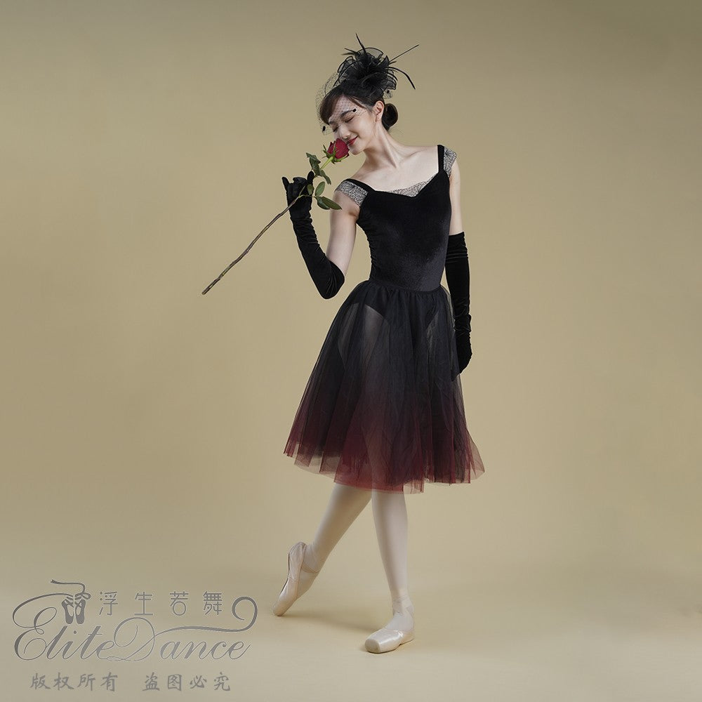 ’The Nightingale and Rose‘ velvet  leotard