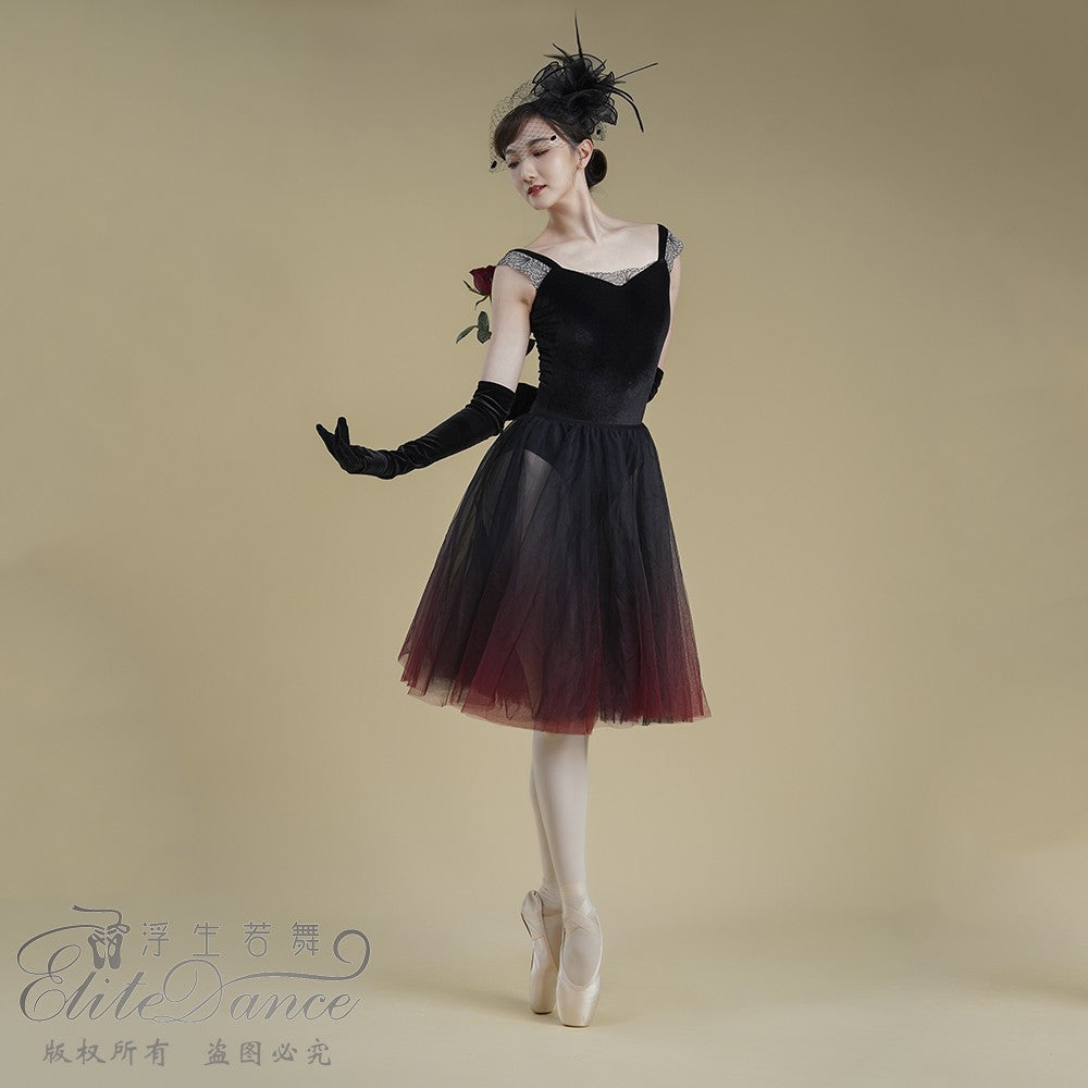 ’The Nightingale and Rose‘ velvet  leotard