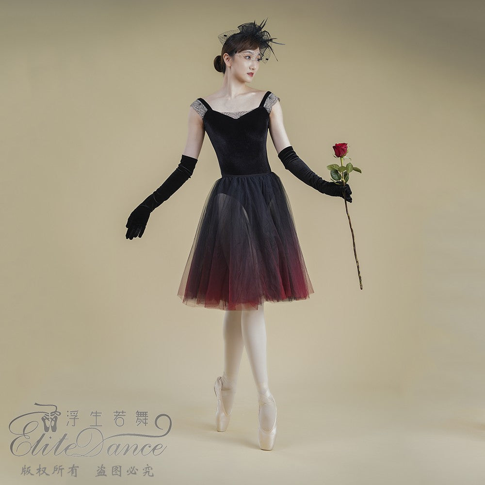 ’The Nightingale and Rose‘ velvet  leotard
