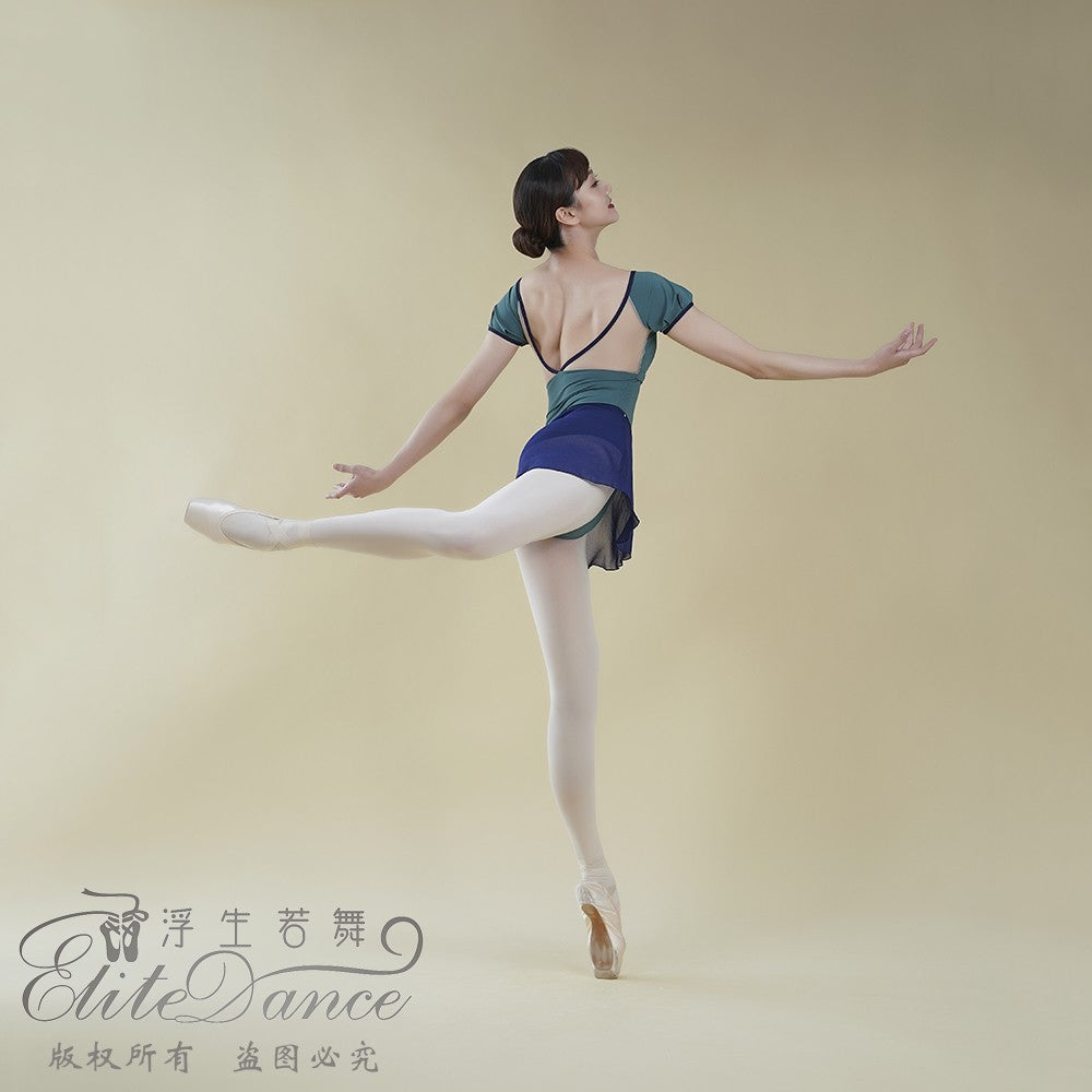 'The Cyan ' short sleeves leotard
