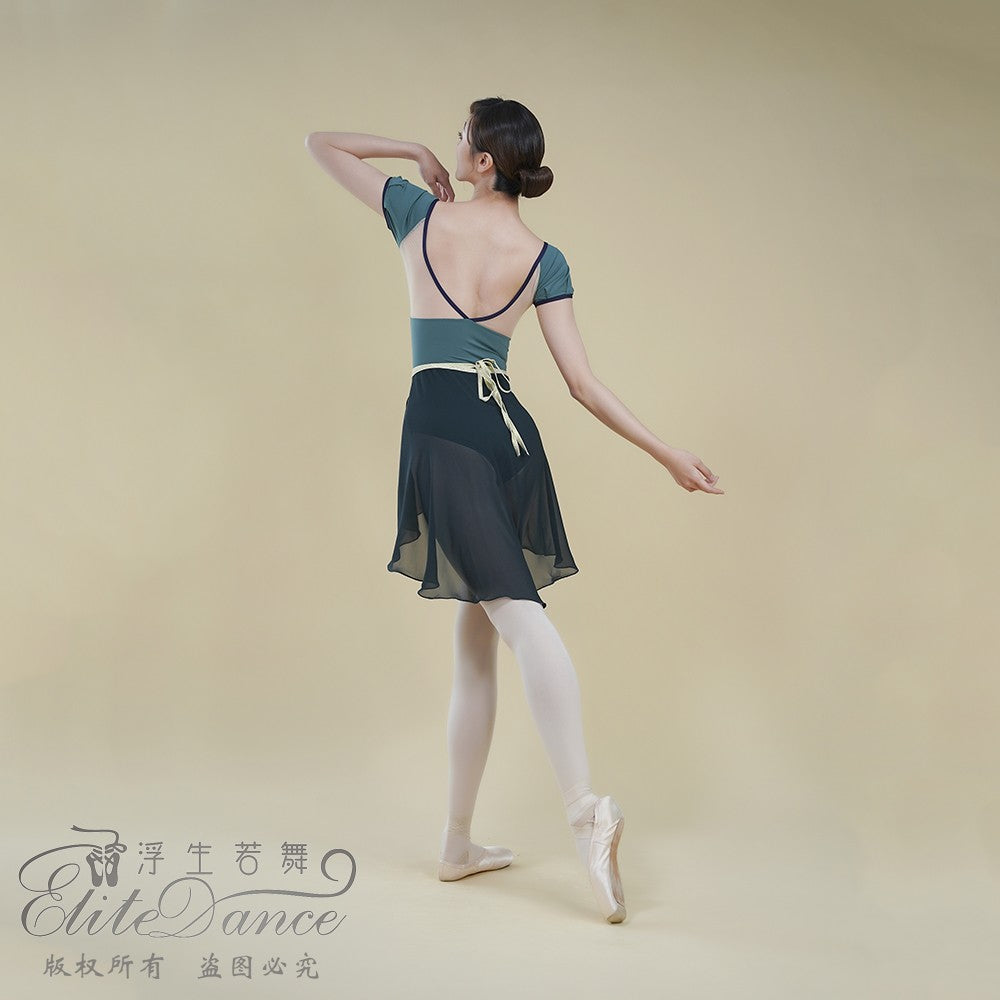 'The Cyan ' short sleeves leotard
