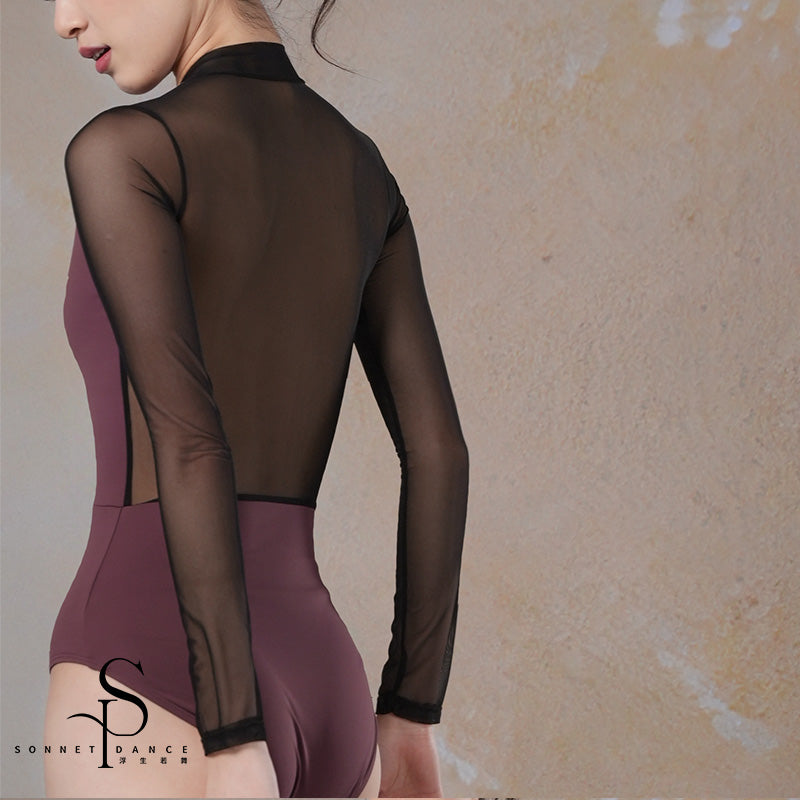 'The Classic Extreme' mesh sleeves leotard