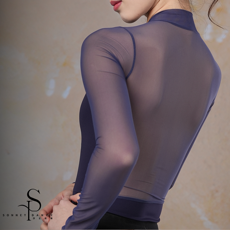 'The Classic Extreme' mesh sleeves leotard