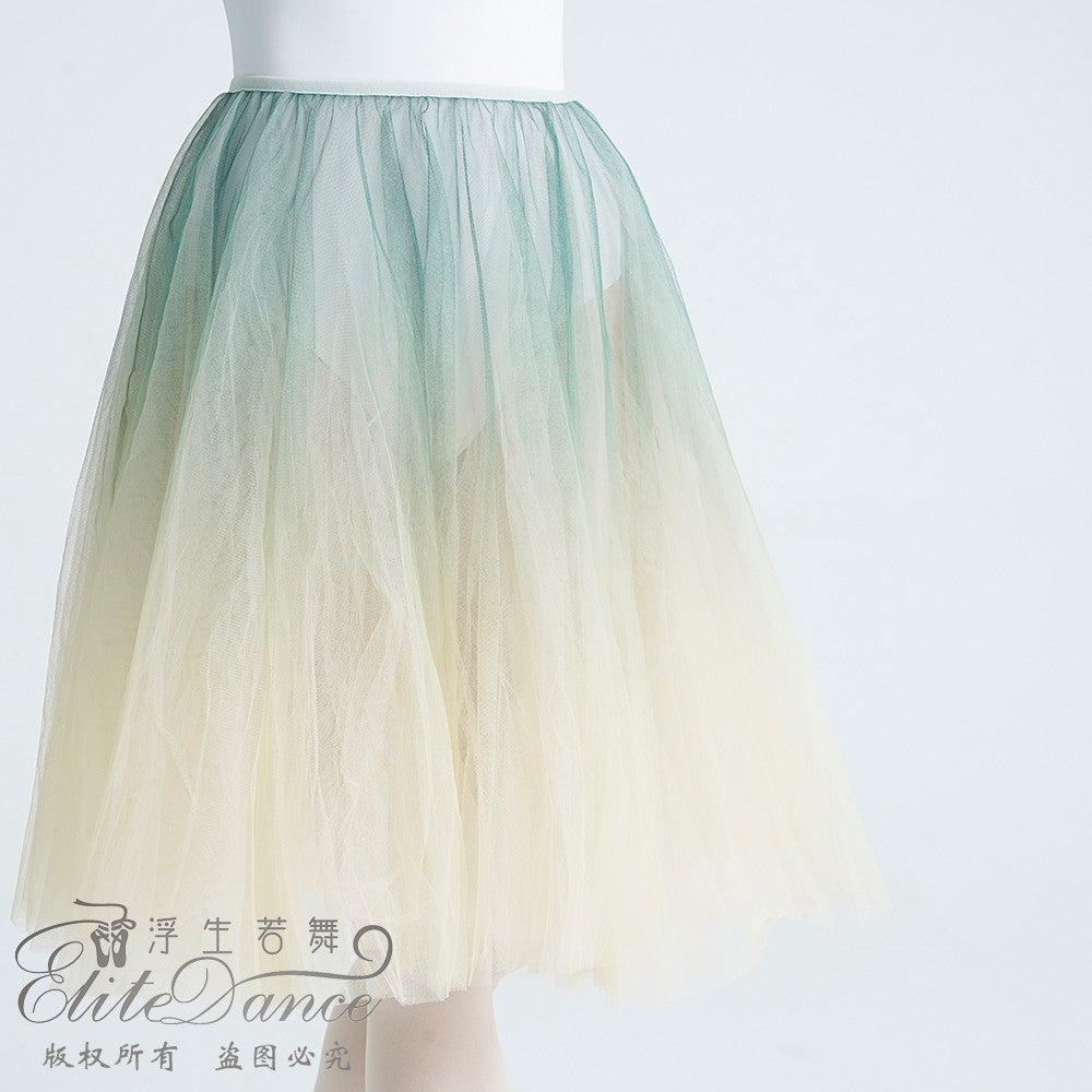 ' The Ombre ' multi layers TUTU